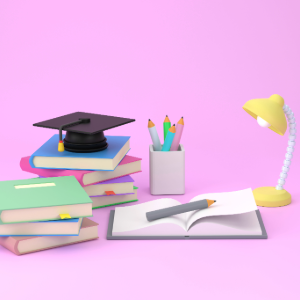 Writing Bundle - 4 Evaluations - FS24QX8